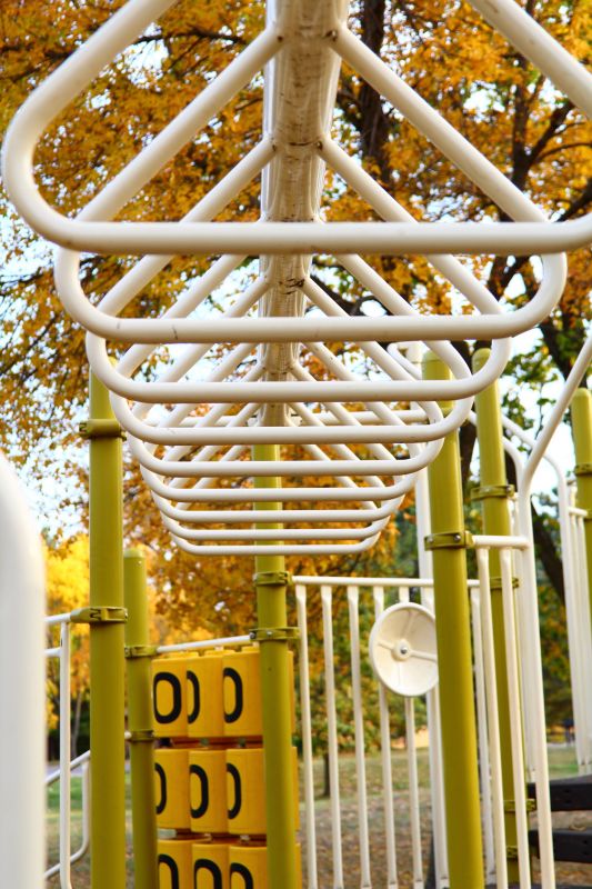 Monkey Bars Installation in Denver County, CO